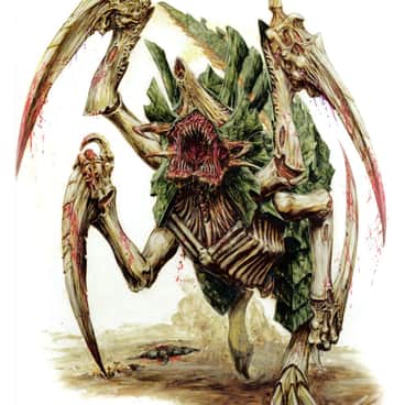 Scythed Hierodule by Paul Jeacock