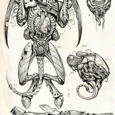 Xenology Dissection: Tyranid by Tiernen Trevallion