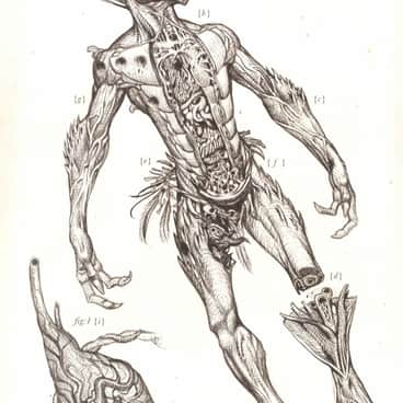 Xenology Dissection: Kroot by Tiernen Trevallion