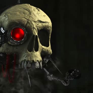 Skull Probe by Unknown Artists