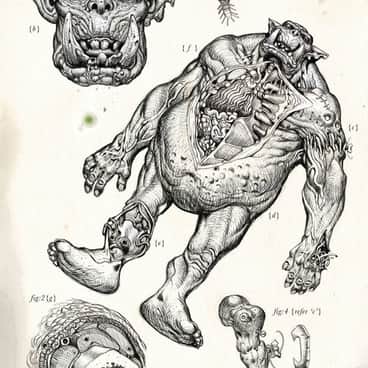 Xenology: Ork by Tiernen Trevallion