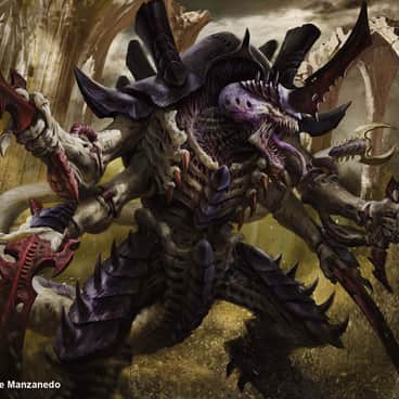 The Swarmlord by Antonio J. Manzanedo (Manzanedo)