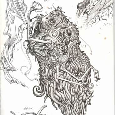 Thyrrus by Tiernen Trevallion
