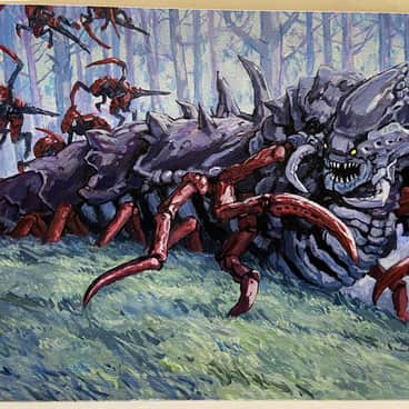 Immature Trygon by Tony Moseley