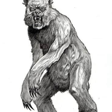 Cthellean Cudbear by Tony Ackland (Anthony Ackland)