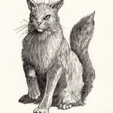 Gyrinx by Tony Ackland (Anthony Ackland)