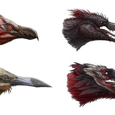 Razorwing by Gabe McAlpine