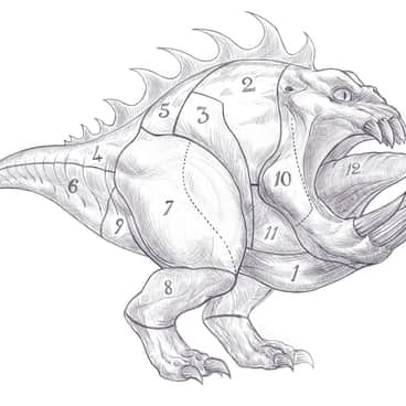 Squig Butchery Chart by Gabe McAlpine