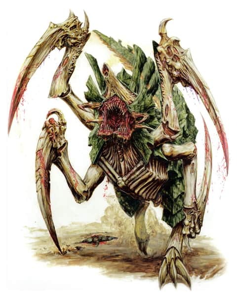 Scythed Hierodule by Paul Jeacock