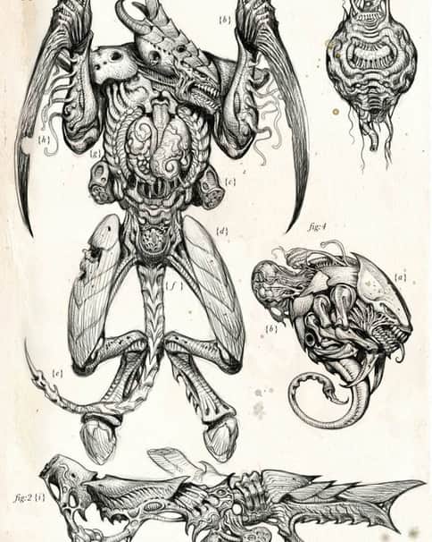Xenology Dissection: Tyranid by Tiernen Trevallion