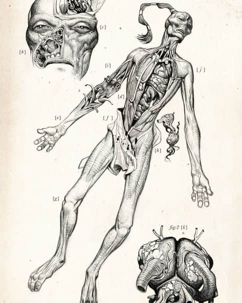 Xenology Dissection: T’au by Tiernen Trevallion