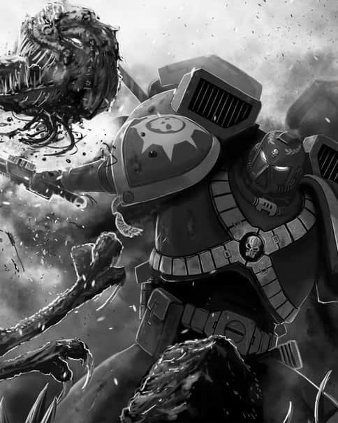 Novamarines by Nick Anderton 