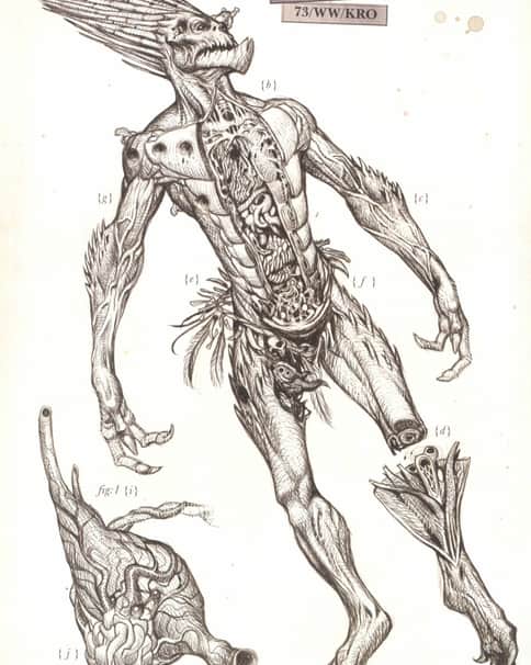 Xenology Dissection: Kroot by Tiernen Trevallion