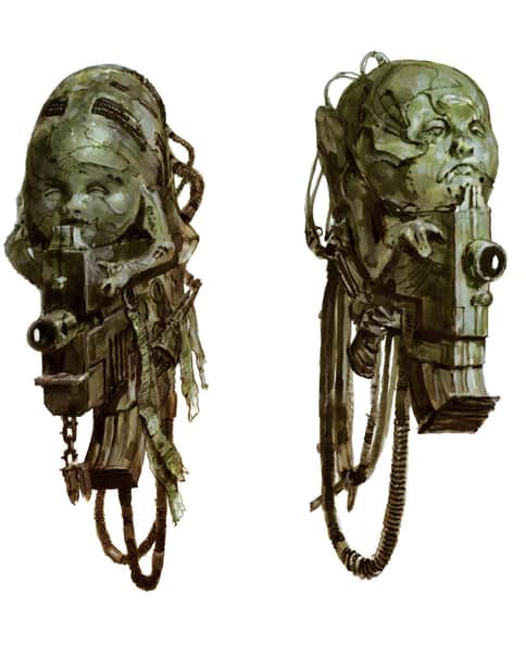 Bolter Cherubs by Phil Moss 