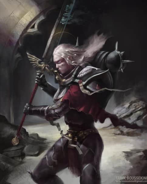 Sister of Battle by Tarik Boussekine