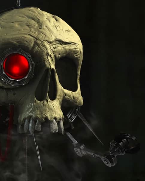 Skull Probe by Unknown Artists