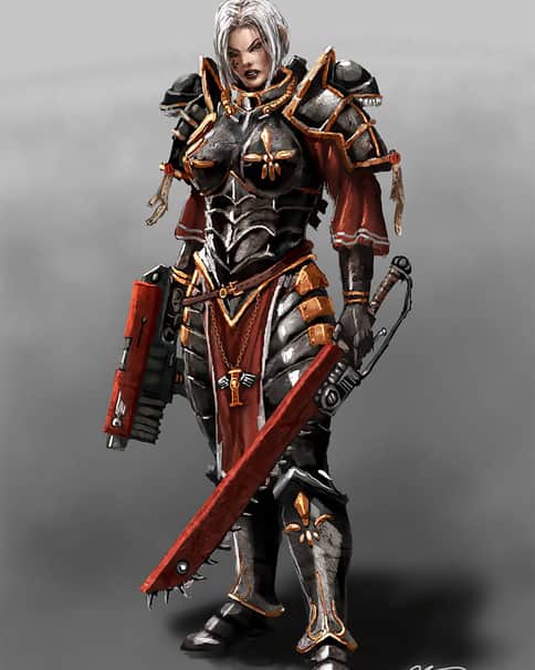 The Sister of Battle by Hannu Kokkonen 