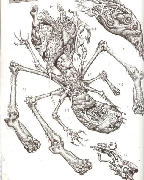 Xenology Dissection: Q’Orl by Tiernen Trevallion