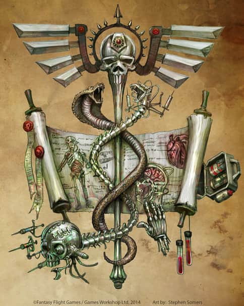 Chirugeon by Stephen Somers 
