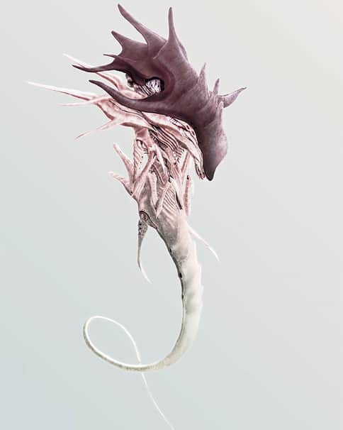 Zoanthrope by Joel Delica 