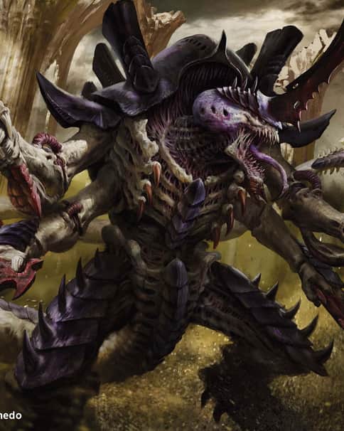 The Swarmlord by Antonio J. Manzanedo 