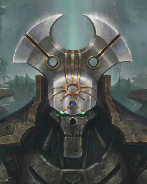 Cranial Plating by L J Koh 