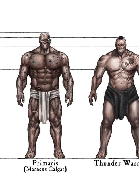 Warhammer Comparisons by Tim Remin 