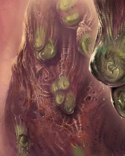 Brood Chamber by Dimitri Bielak