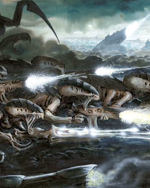 Termagants by David Gallagher 