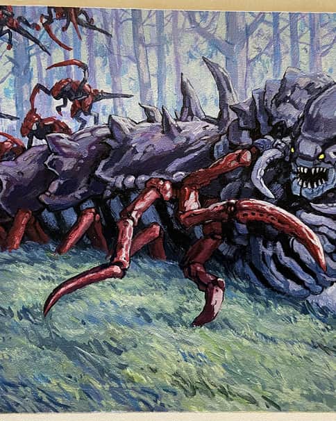 Immature Trygon by Tony Moseley