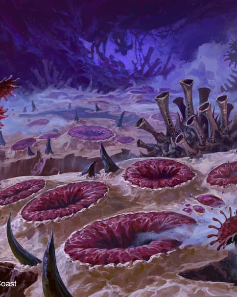Exoctic Orchard by Filipe Pagliuso 