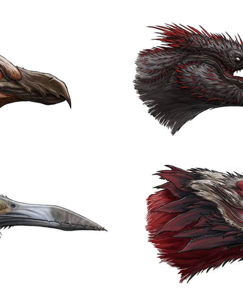 Razorwing by Gabe McAlpine