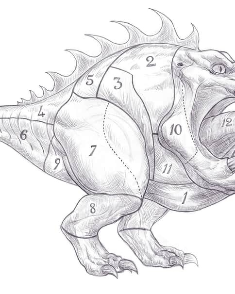 Squig Butchery Chart by Gabe McAlpine