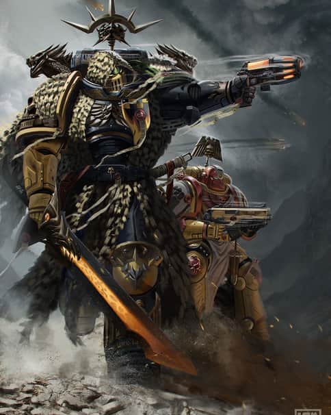 Imperial Fist and Salamander by Samo TGR 
