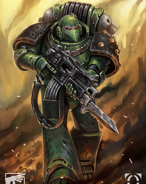 Salamanders by Daniel Caballero 