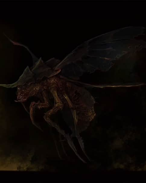 Rot Fly by Sevra 