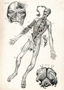 Xenology Dissection: T’au by Tiernen Trevallion Xenology Dissection: T’au by Tiernen Trevallion