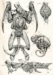 Xenology Dissection: Tyranid by Tiernen Trevallion Xenology Dissection: Tyranid by Tiernen Trevallion