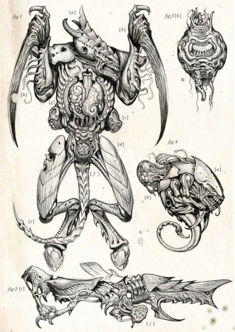 Xenology Dissection: Tyranid by Tiernen Trevallion Xenology Dissection: Tyranid by Tiernen Trevallion