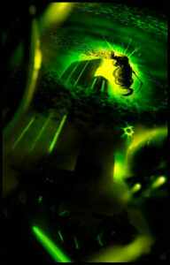 IronShrineMaiden Artwork
