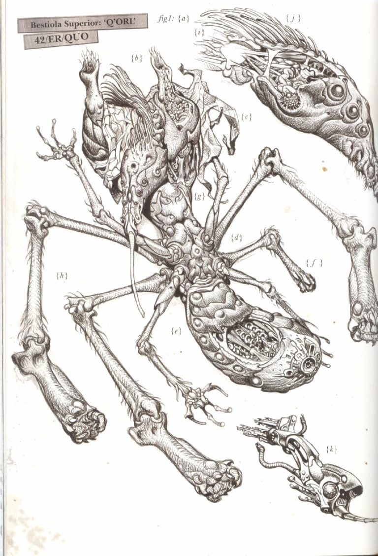 Xenology Dissection: Q’Orl by Tiernen Trevallion Xenology Dissection: Q’Orl by Tiernen Trevallion