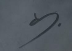 Adam Isailovic  Signature