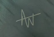 Aidan Wilson  Signature