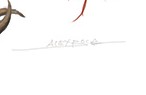 Alex Boca Signature