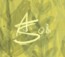 Anna Steinbauer  Signature