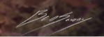 Ben Savory  Signature