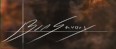Ben Savory  Signature