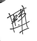 Bruno Brisson  Signature