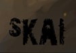 Chu Skai  Signature
