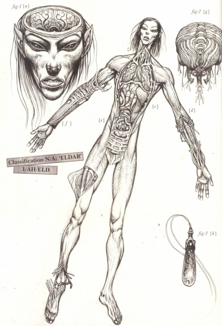 Xenology Dissection: Eldar by Tiernen Trevallion